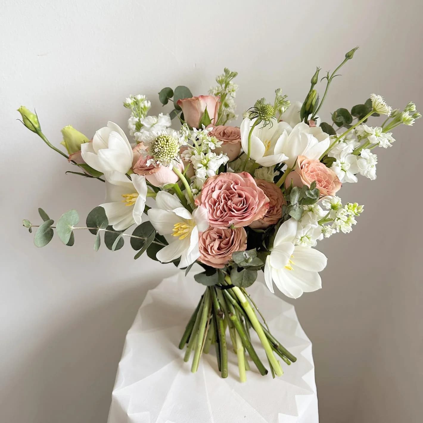 Premium White Orchids