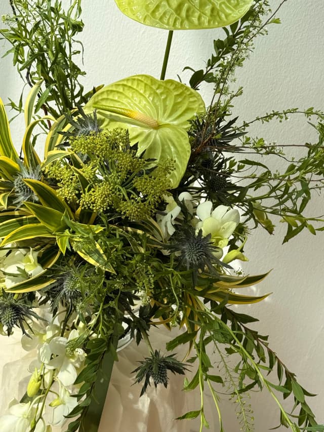 Designer Pick Omakase